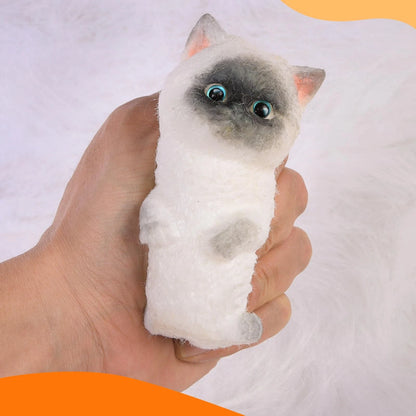 Large Squishy Cat
